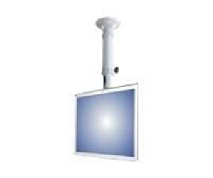 Skjermholder - Neomounts by NewStar LCD takfeste - 37-47cm - 10-26" - FPMA-C025SILVER