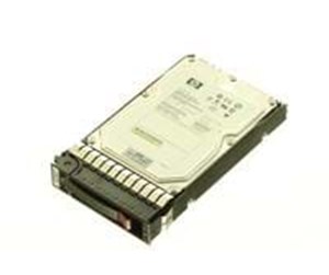 Harddisk - HP - 1TB - Harddisk - 461289-001 - Serial Attached SCSI - 3.5" - 461289-001