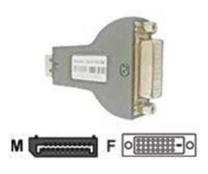 Skjermkabel - CoreParts DVI-adapter - DPDVI