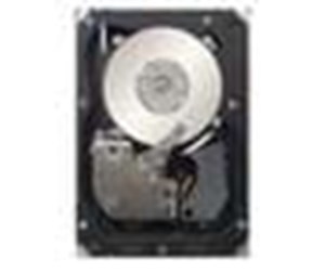 Harddisk - IBM 1TB 2.5IN SFF HS 7.2K 6GBPS - 1TB - Harddisk - 81Y9730 - SATA-600 - 2.5" - 81Y9730