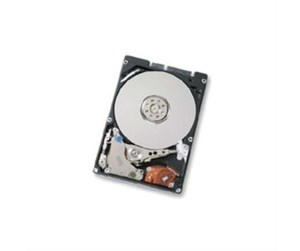 Harddisk - HP DRV 80G HD 4200 RPM - 80GB - Harddisk - 316413-018 - 316413-018