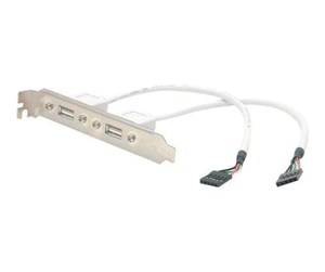 Strømkabel (intern) - StarTech.com 2 Port USB A Female Low Pro - USBPLATELP