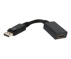 Skjermkabel - StarTech.com DisplayPort to HDMI Video Adapter Converter - videoadapter - DP2HDMI2