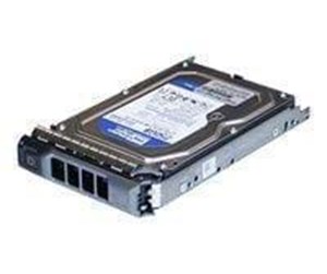 Harddisk - Dell - 1TB - Harddisk - DELL-1000SATA/7-S11 - SATA-150 - DELL-1000SATA/7-S11