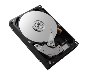 Harddisk - Dell - 320GB - Harddisk - D579R - SATA-150 - 2.5" - D579R