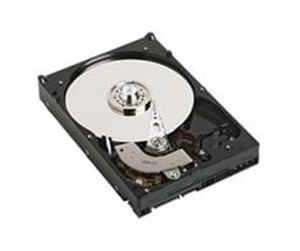 Harddisk - Dell - 2TB - Harddisk - J164R - SATA-150 - J164R