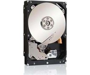 Harddisk - Fujitsu Business Critical - 2 - 250GB - Harddisk - S26361-F3601-L250 - SATA-300 - 2.5" - S26361-F3601-L250