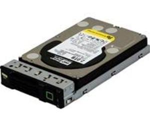 Harddisk - Fujitsu Business Critical - 2TB - Harddisk - S26361-F5242-L200 - SAS2 - 3.5" - S26361-F5242-L200