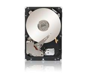 Harddisk - IBM - 1TB - Harddisk - 81Y9836 - SAS2 - 2.5" - 81Y9836