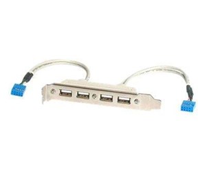 Strømkabel (intern) - StarTech.com 4 Port USB A Female Slot Plate Adapter - USBPLATE4