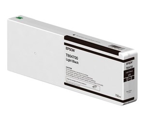 Printertilbehør blekk/toner - Epson T804700 Light Black Ink - Blekkpatron Lys svart - C13T804700