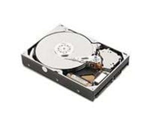 Harddisk - IBM - 1TB - Harddisk - 81Y9731 - SATA-600 - 2.5" - 81Y9731