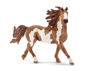 Schleich - Schleich Pinto-hingst - 13794