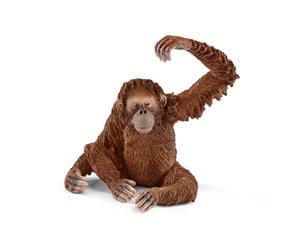 Schleich - Schleich Orangutan - Female - 4055744012679