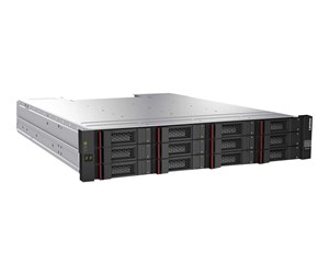 Harddisk-array - Lenovo Storage D1212 - 4587E11