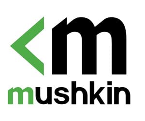 RAM - Mushkin Essentials - MES4S240HF8G