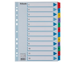 Lommer, Omslag & Registre - Esselte Register  Mylar A4 1-12 Flerfarg - 100162