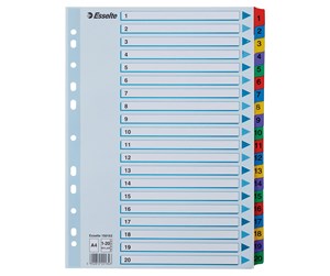 Lommer, Omslag & Registre - Esselte Register  Mylar A4 1-20 Flerfarg - 100163