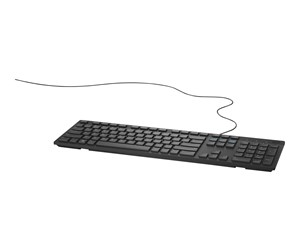 Tastatur - Dell KB216 - keyboard - black UK - Tastatur - Svart - 580-ADGV