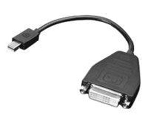 FireWire-/ThunderBolt-kabel - Lenovo DisplayPort adapter - 20 cm - 03X6574