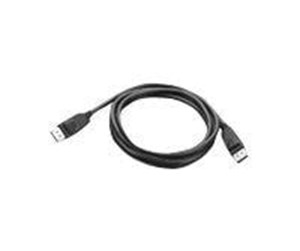 USB - Lenovo DisplayPort cable - 1.8 m - 03X6405