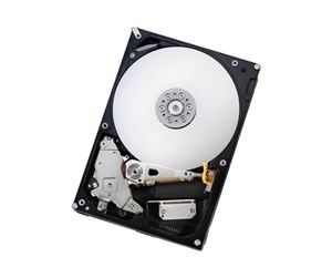 Harddisk - HGST IDK Deskstar NAS H3IKNASN600012872SE2PK - 6TB - Harddisk - 0S03943 - SATA-600 - 3.5" - 0S03943