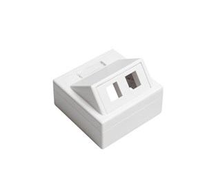 Socketer & bokser - Leviton data outlet 2xkeystone white - E5100375