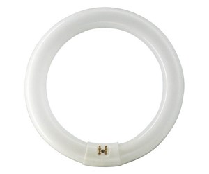 LED-lyspære - Philips Lysrør Master TL-E Circular 32W/840 G10q - 928026384070