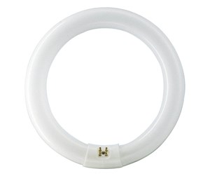 LED-lyspære - Philips Lysrør Master TL-E Circular 22W/840 G10q - 928026284070