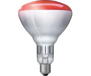 LED-lyspære - Philips Infrarød halogenpære Heat lamp BR125 250W Dimmable E27 - 923212043801