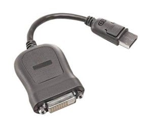 Skjermkabel - Lenovo DisplayPort adapter - 20 cm - 54Y9903