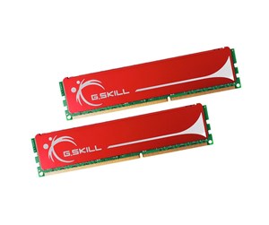 RAM - G.Skill NQ DDR3-1333 CL9 DC - 4GB - F3-10666CL9D-4GBNQ