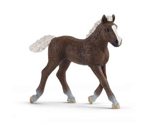 Schleich - Schleich Black Forest Foal - 13899