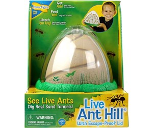 Utendørsleker - Insect Lore Ant Hill - LIN60074