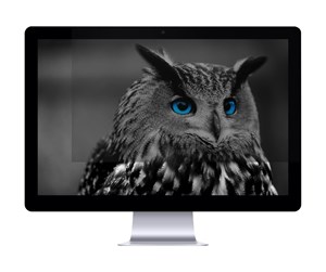 Skjerm - Natec OWL - NFP-1478