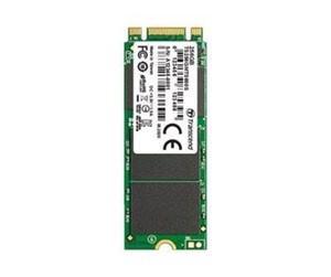 SSD - Transcend MTS600S - TS256GMTS600S