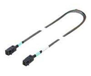 Scsi - Fujitsu SAS internal cable - 54 cm - T26139-Y4040-V9