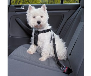 Hund - Trixie Car harness S: 30–60 cm/20 mm black - TX-1290