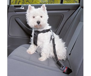 Hund - Trixie Car Harness Safety Belt S 60-60cm/25 mm Stomach Circum 60-60cm - TX-1290