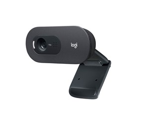 Webkamera - Logitech C505 HD Webcam - 960-001364