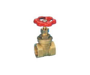 Beslag - Pettinaroli Brass gate valve 3 - 175GLO-014