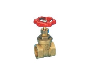 Beslag - Pettinaroli Brass gate valve 1 1/2 - 175GLO-011