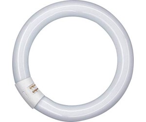 LED-lyspære - Osram Lysrør Lumilux Circular 22W/840 G10q - 4008321581082