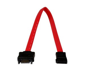 Sata - StarTech.com 0.3m SATA Extension Cable - 30cm 7 pin SATA Extension - 7 pin SATA Extension Cable - 7 pin SATA Extension cord - SATA extension cable - 30 cm - SATAEXT30CM