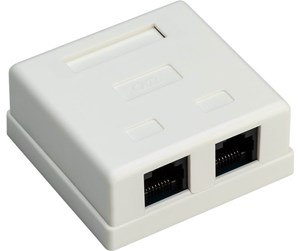 Nettverkskabel - 2-port RJ45 surface mount installation box CAT 6 UTP white - 4040849776335