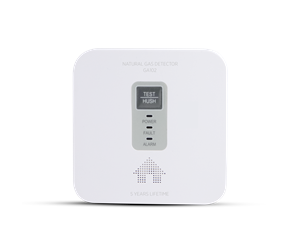 Sikkerhet - Housegard GA102 GAS ALARM 12V + 230V - 604022