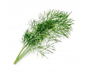 Smarthus - Veritable Lingot Organic Dill - VLIN-A10-Ane006