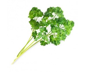 Smarthus - Veritable Lingot Organic Curly Parsley - VLIN-A10-Per028