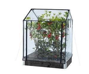 Hageredskaper - HORTUS Greenhouse tall 110/130 x 115 x 76 cm - 211-152