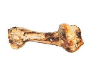 Hund - Eldorado Jurassic bone - HE8128